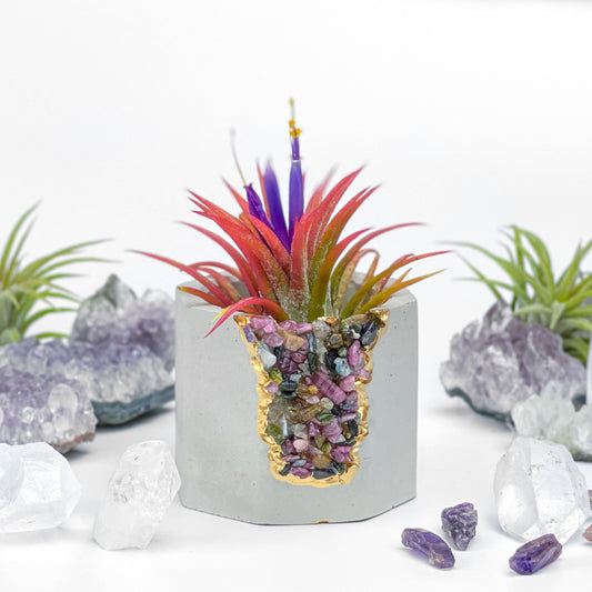 TOURMALINE GEODE PLANTER