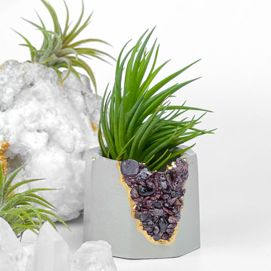 GARNET GEODE PLANTER