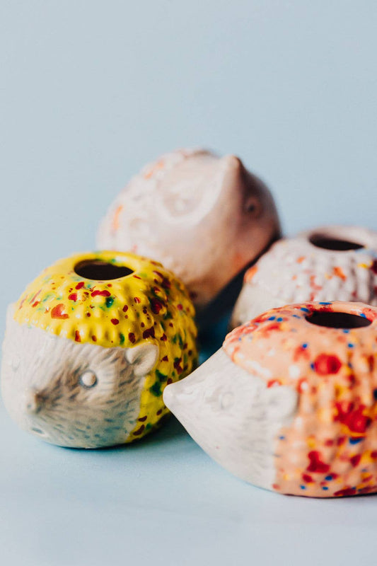 Hedgehog Air Plant Friend + Airplant