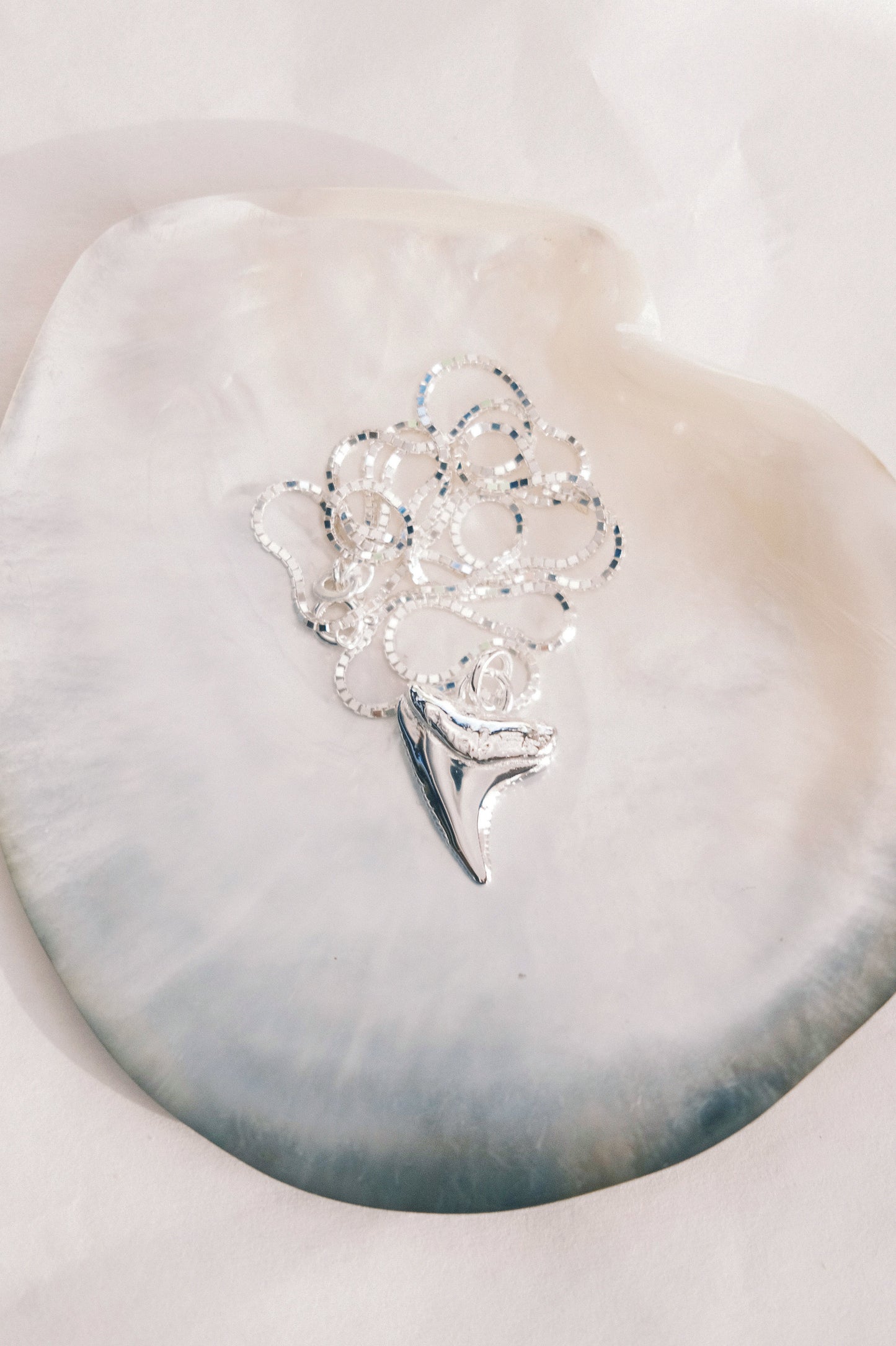 Silver Shark Tooth Necklace - Mano
