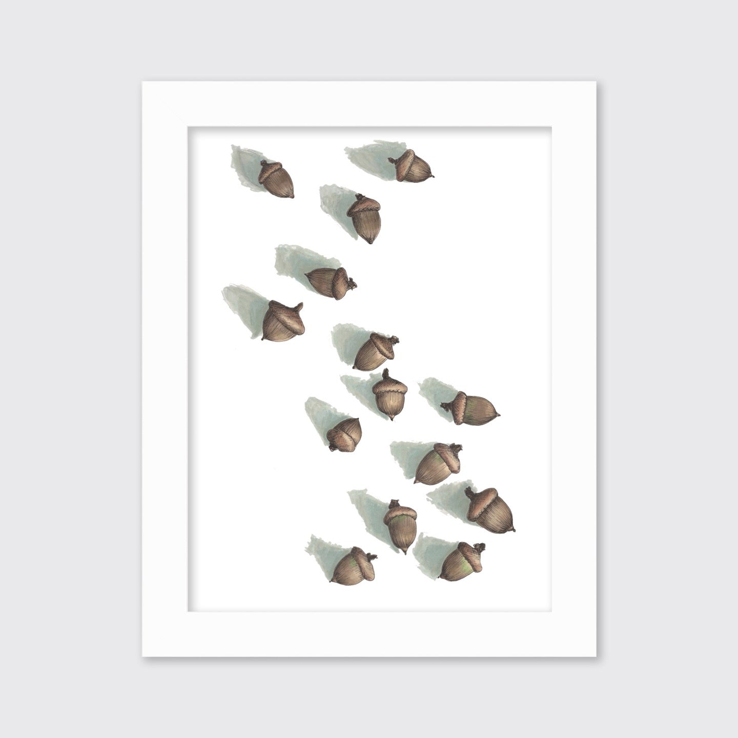 Acorns - Open Edition Paper Print