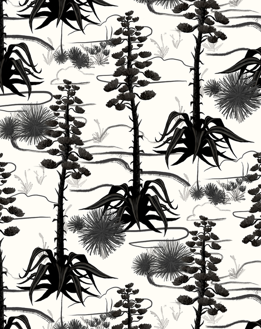Agave Valley Wallpaper, white and black