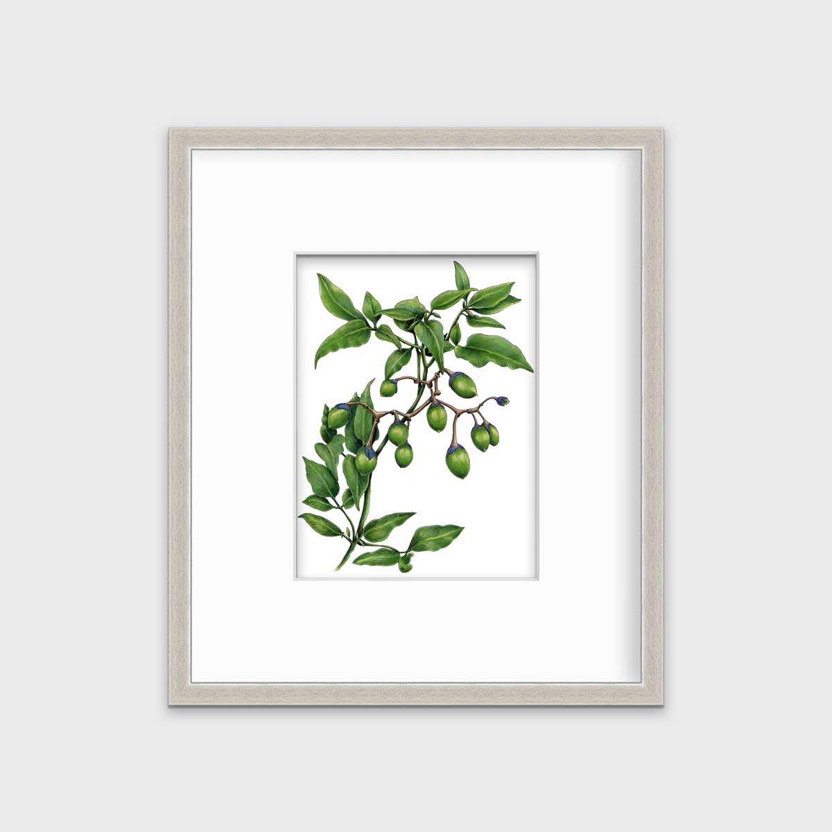 Bittersweet - Open Edition Paper Print