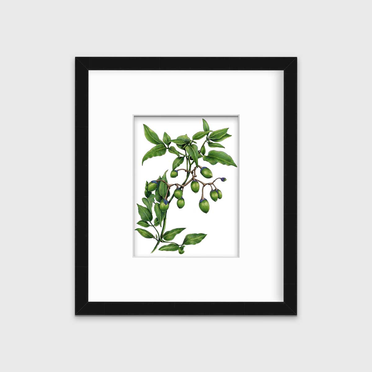Bittersweet - Open Edition Paper Print