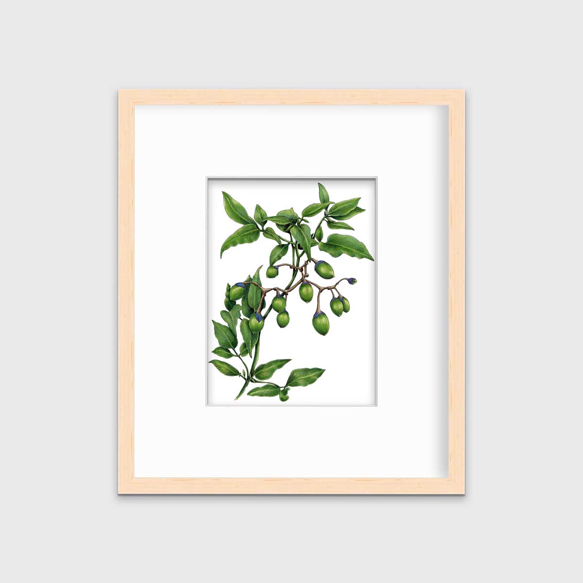 Bittersweet - Open Edition Paper Print