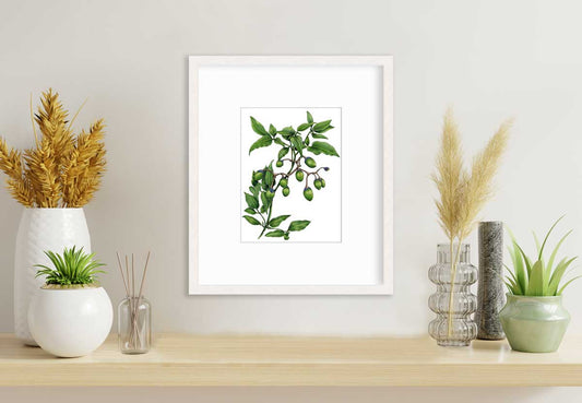 Bittersweet - Open Edition Paper Print