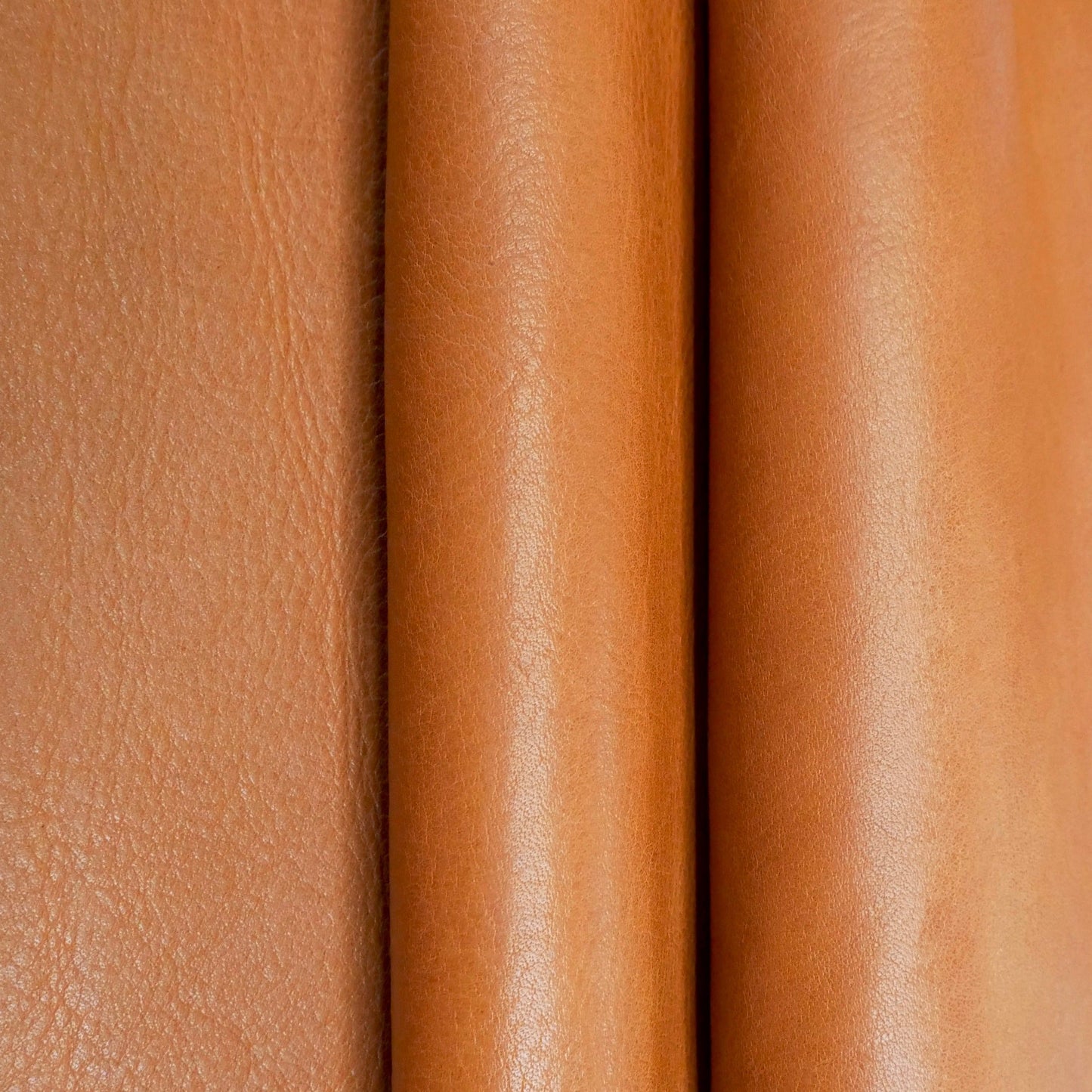 Edinburgh Regular Strap in Caramel