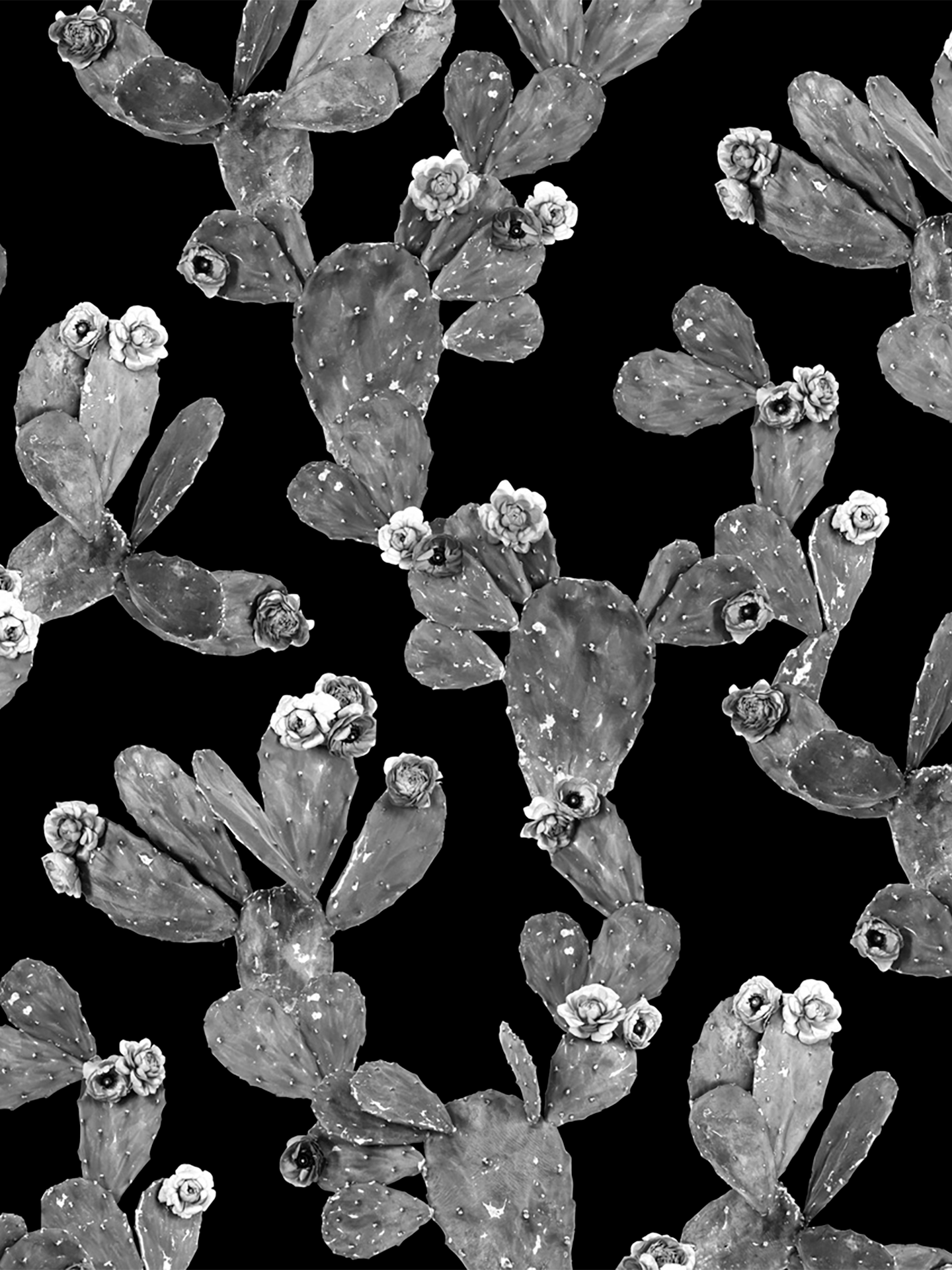 Desert Blooms Wallpaper, black and gray