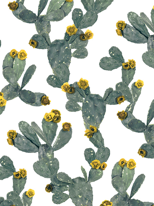 Desert Blooms Wallpaper, white & yellow
