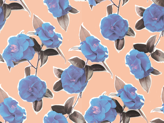 Camellia Wallpaper, cotton candy