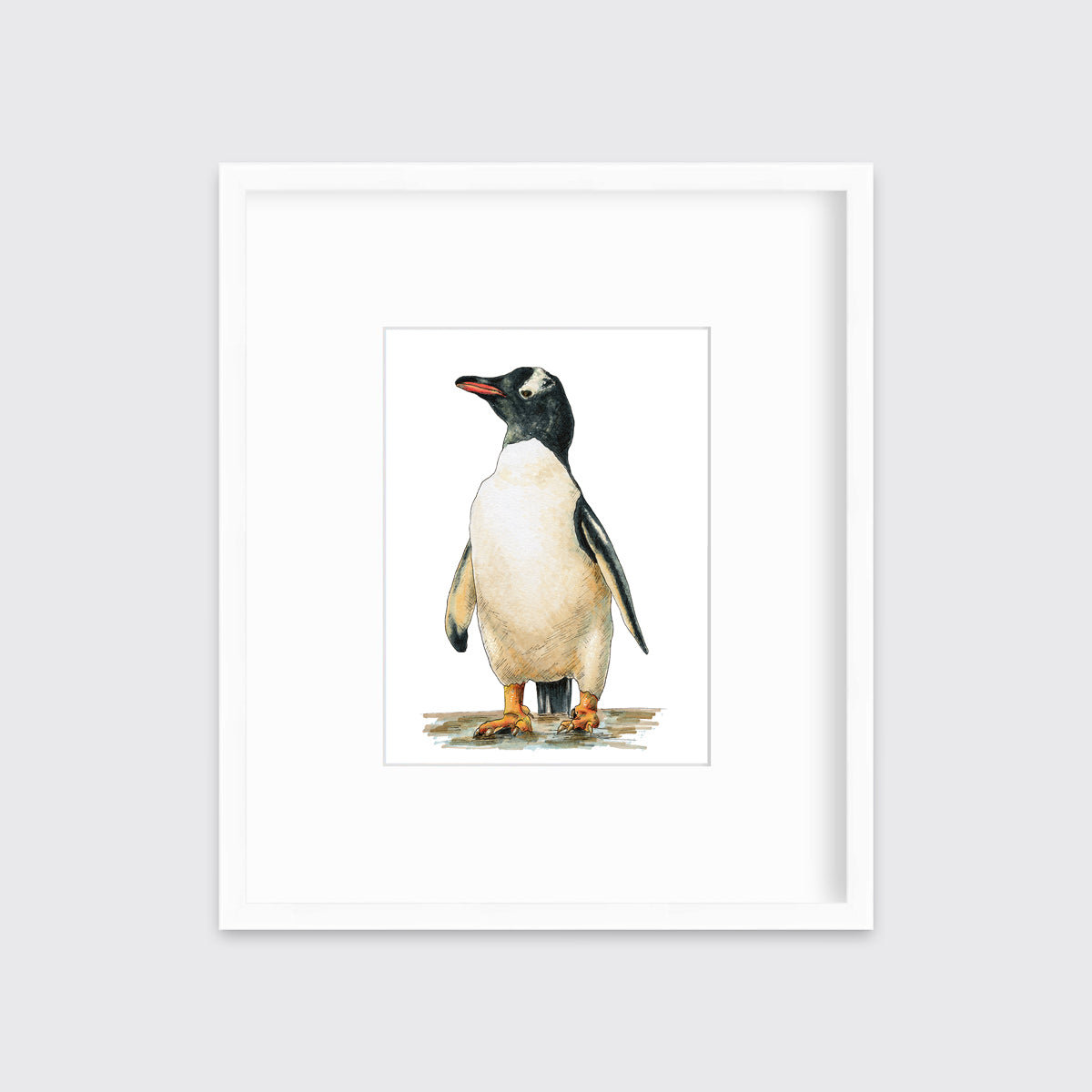 Cool - Open Edition Paper Print
