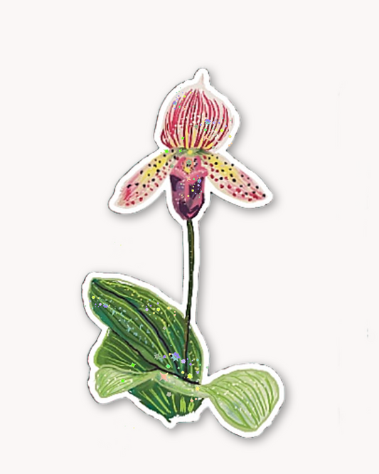 Lady Slipper Sticker
