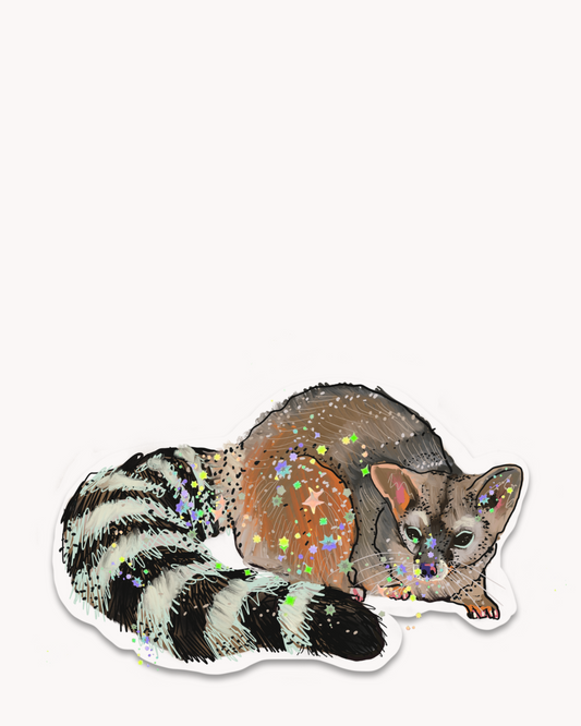 Ringtail Cat Sticker