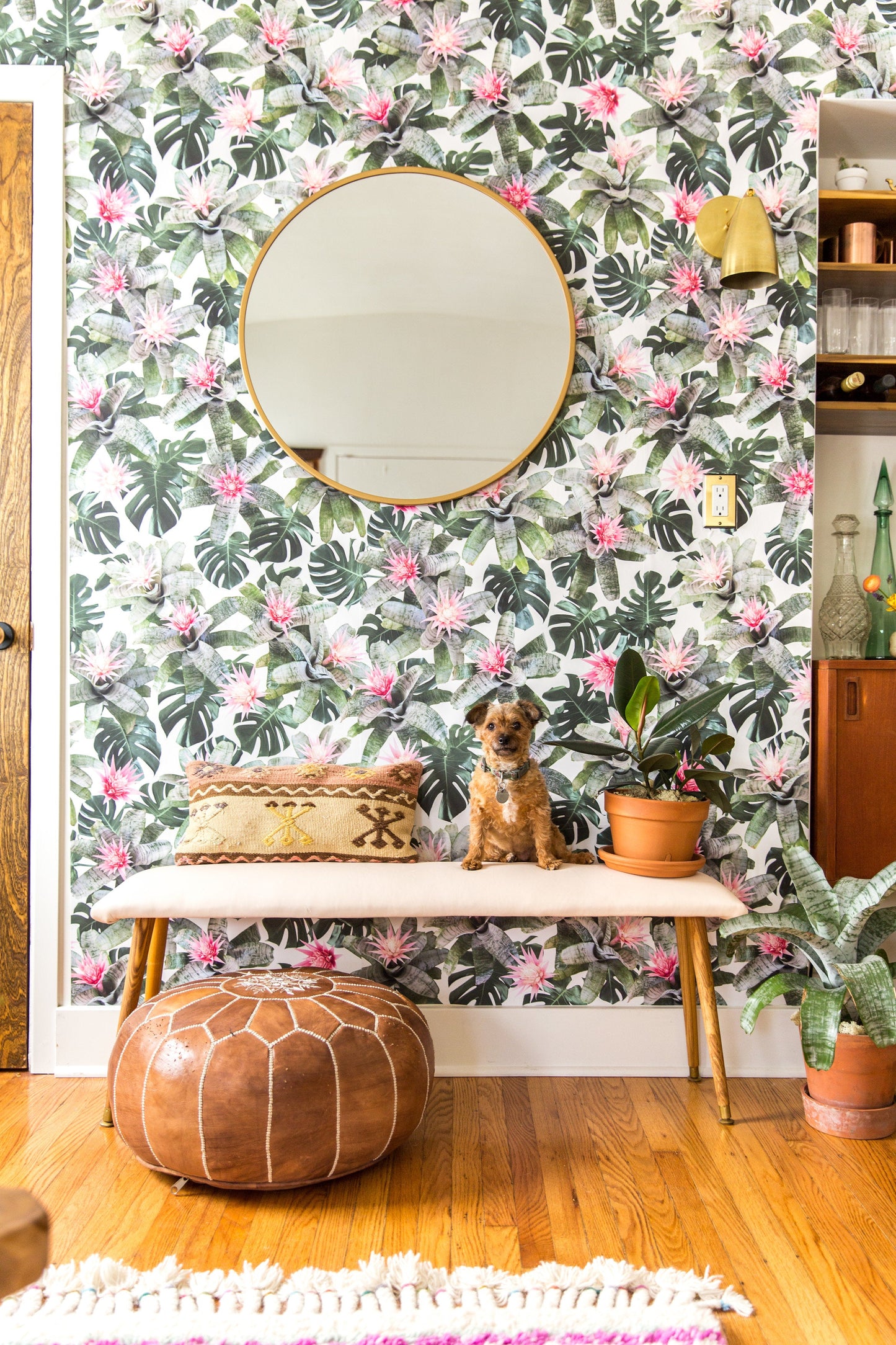 Rad Bromeliad Wallpaper, white