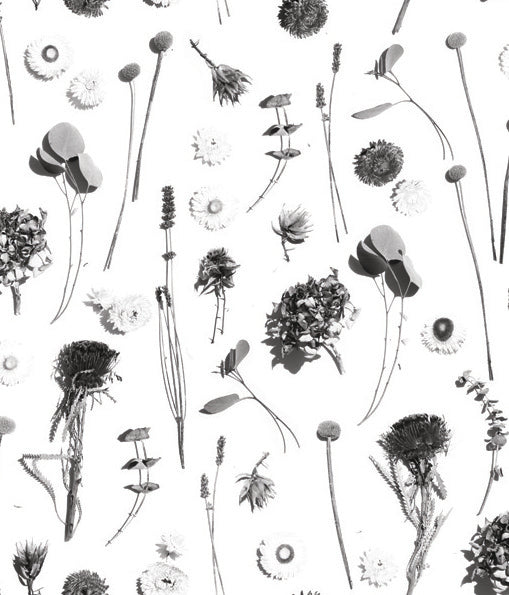 Dried Flora Wallpaper, white and black