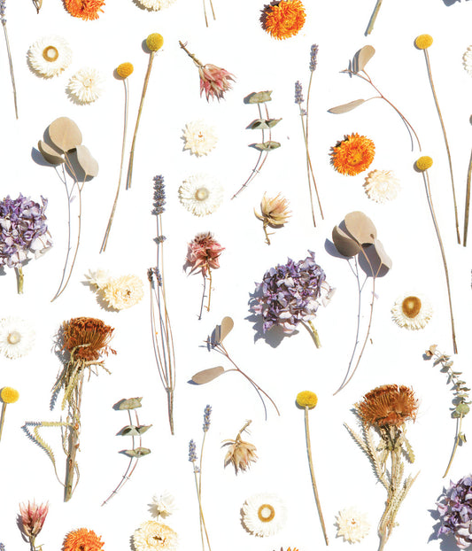 Dried Flora Wallpaper, lavender & orange