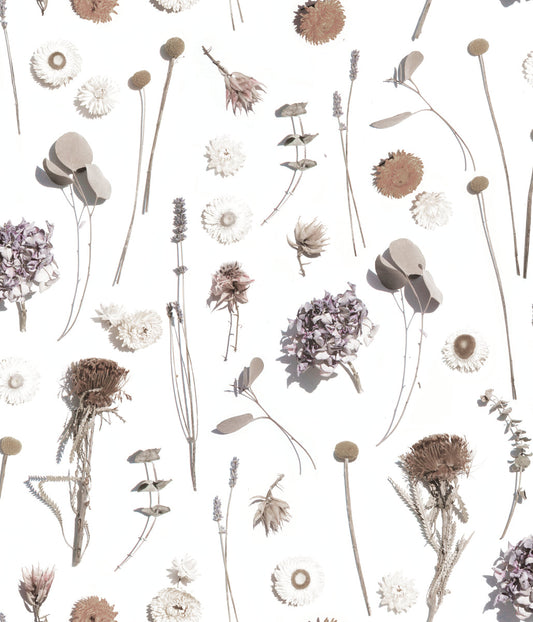Dried Flora Wallpaper, neutral