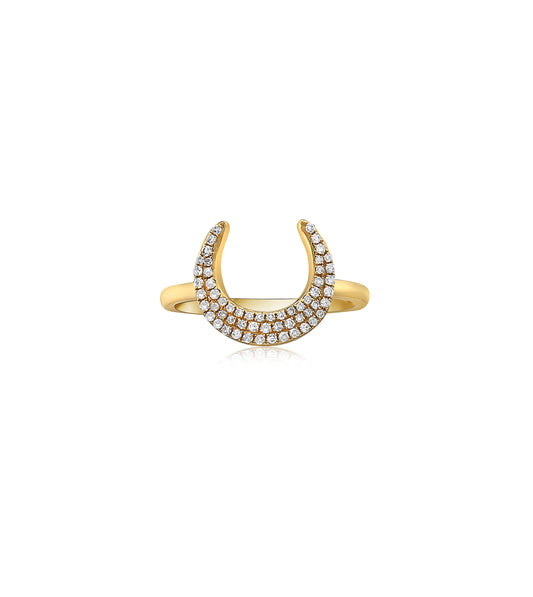 Diamond Horn Ring