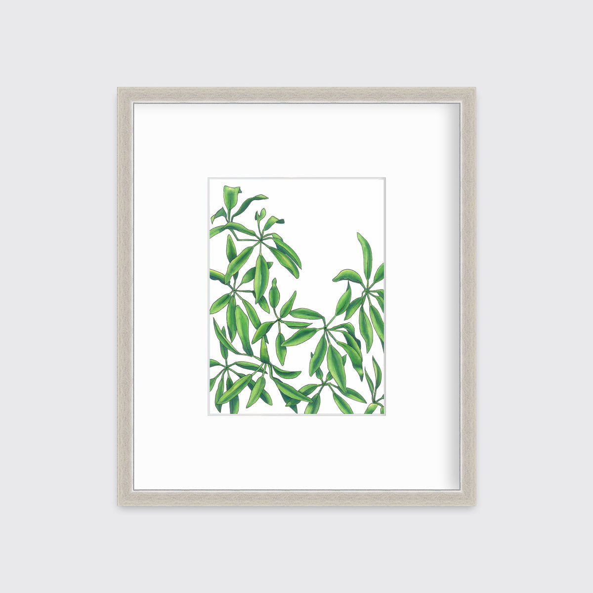 Earth Stars - Open Edition Paper Print