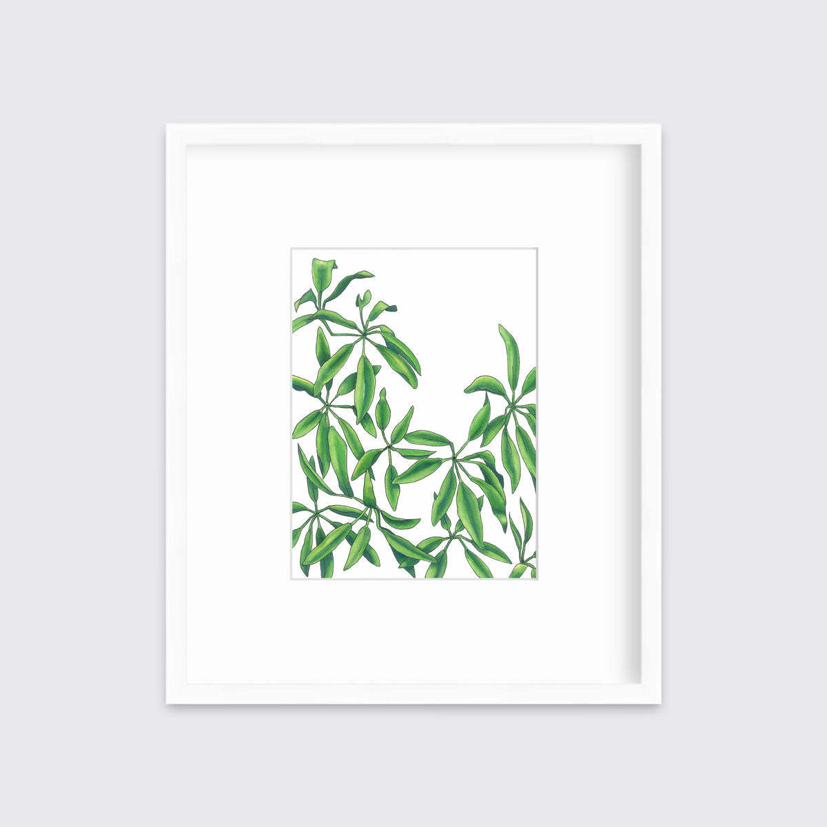 Earth Stars - Open Edition Paper Print