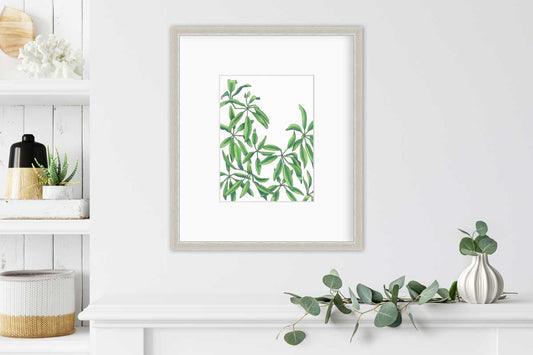 Earth Stars - Open Edition Paper Print