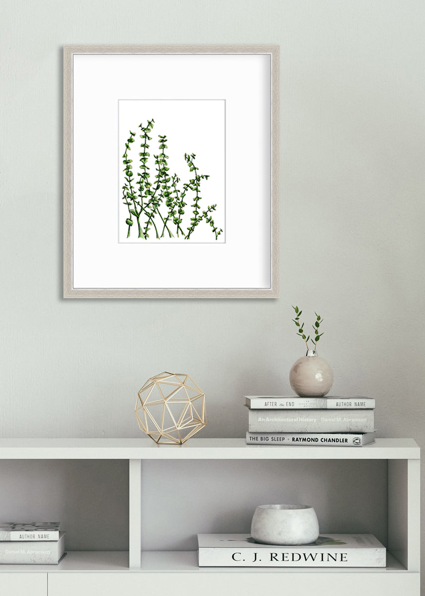 Eucalyptus - Limited Edition Paper Print