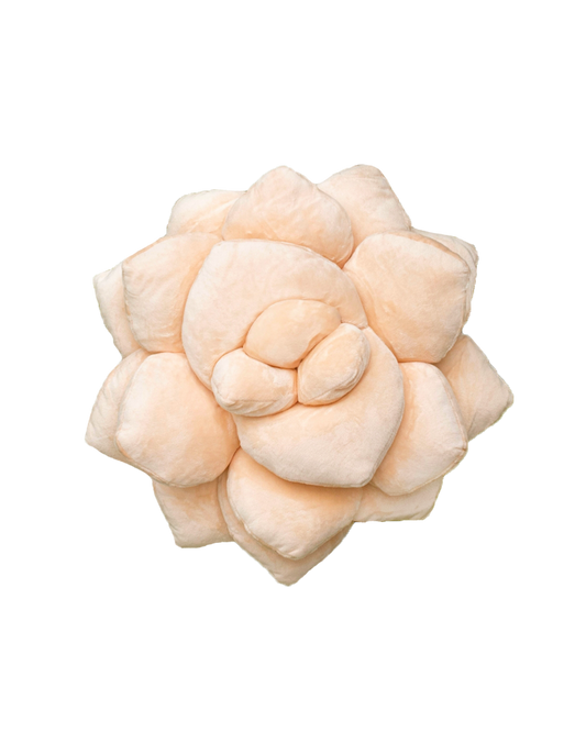 Lil' Pop Succulent® - Blush Peach