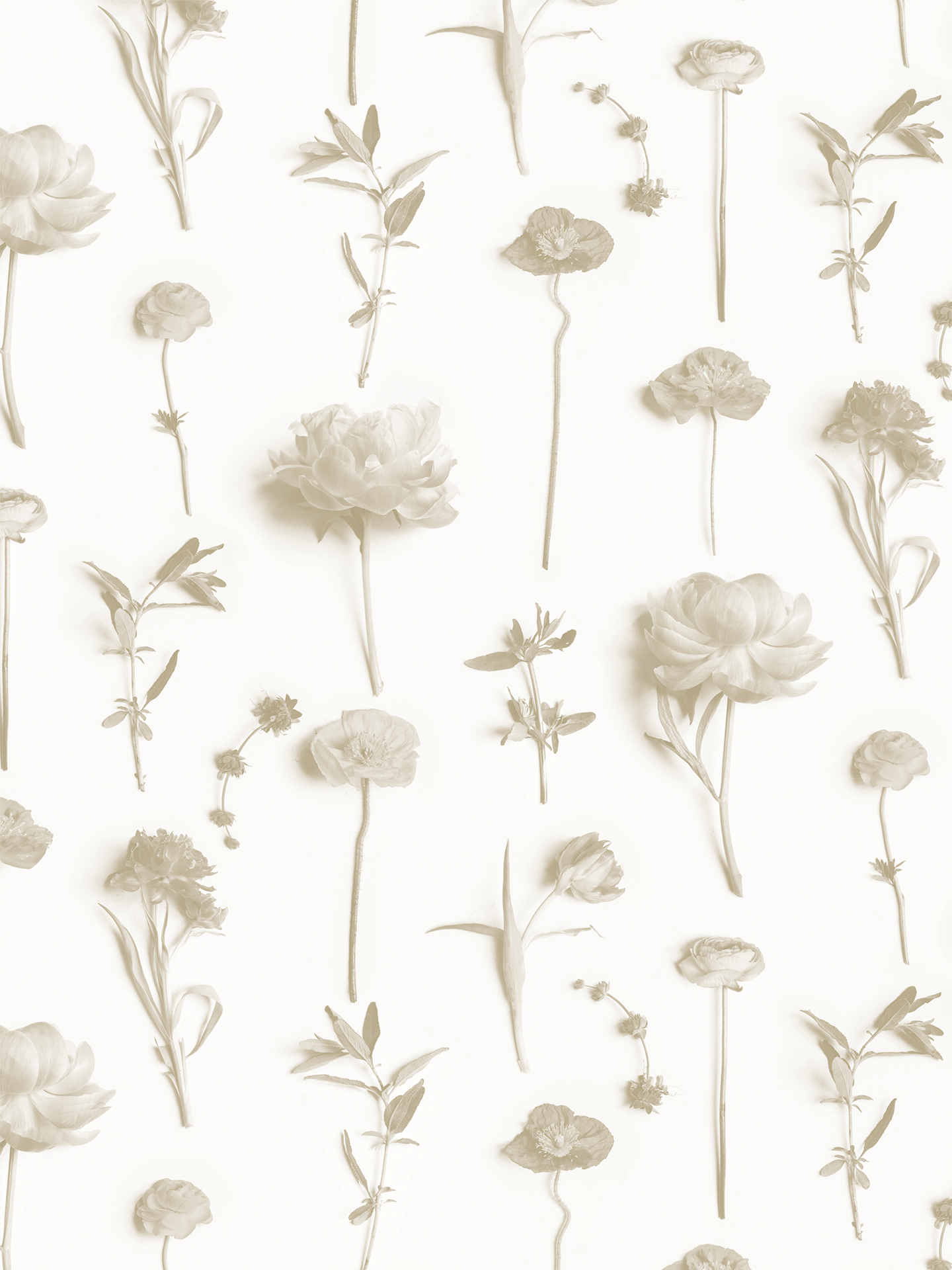 Fresh to Death Wallpaper, standard pattern, neutral