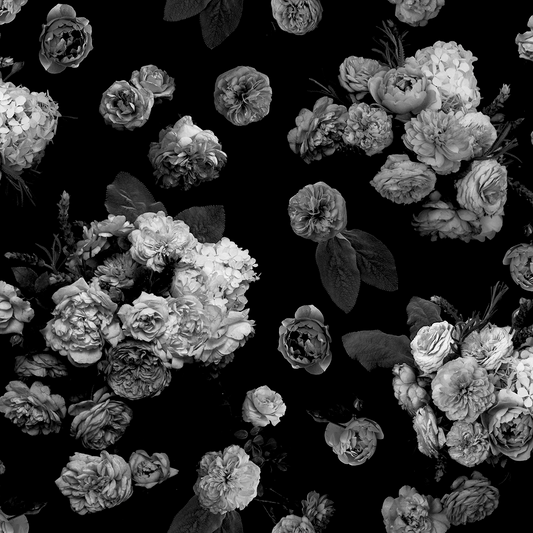 Rose Farm Wallpaper, black and white