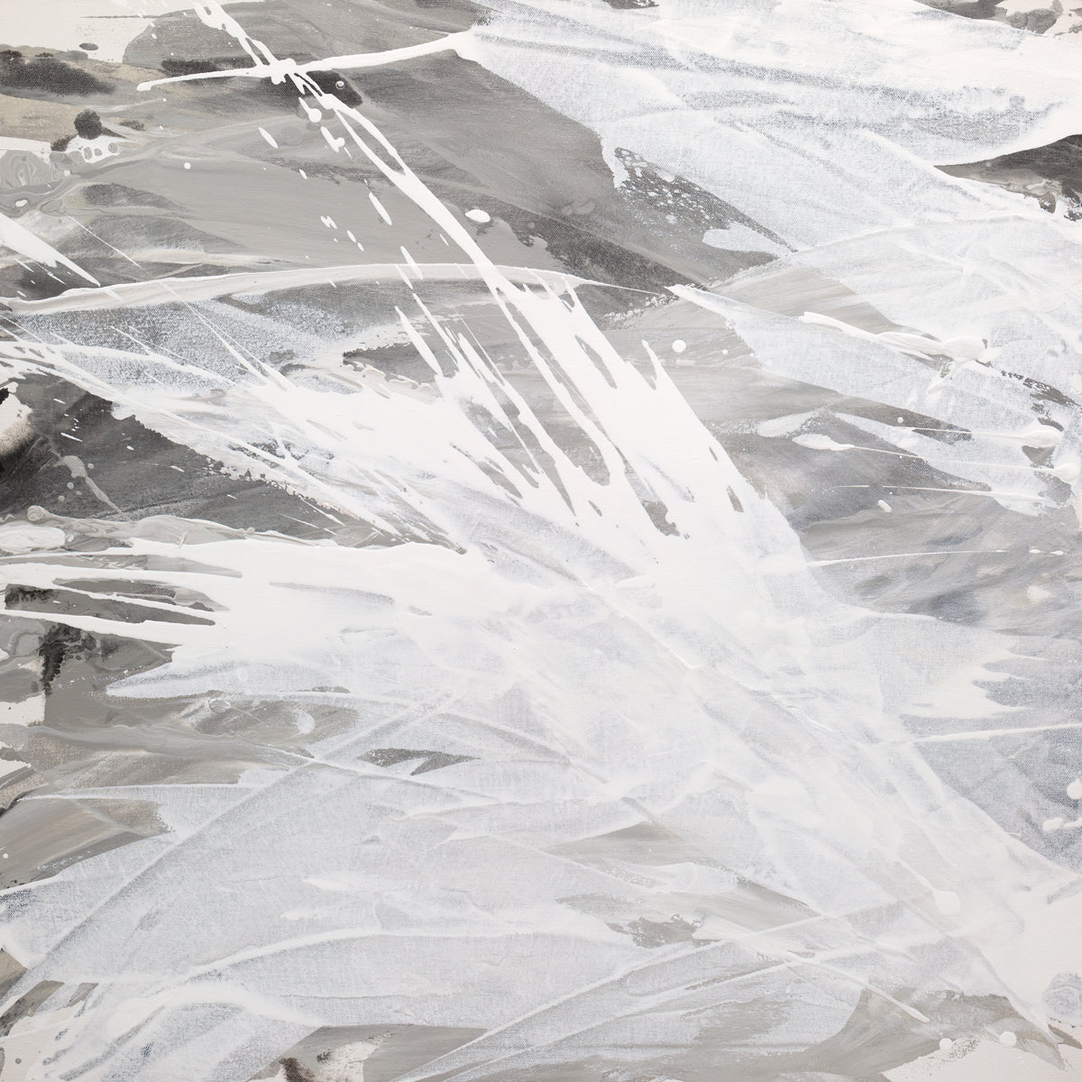 Grey Owl I - Limited Edition Canvas Print