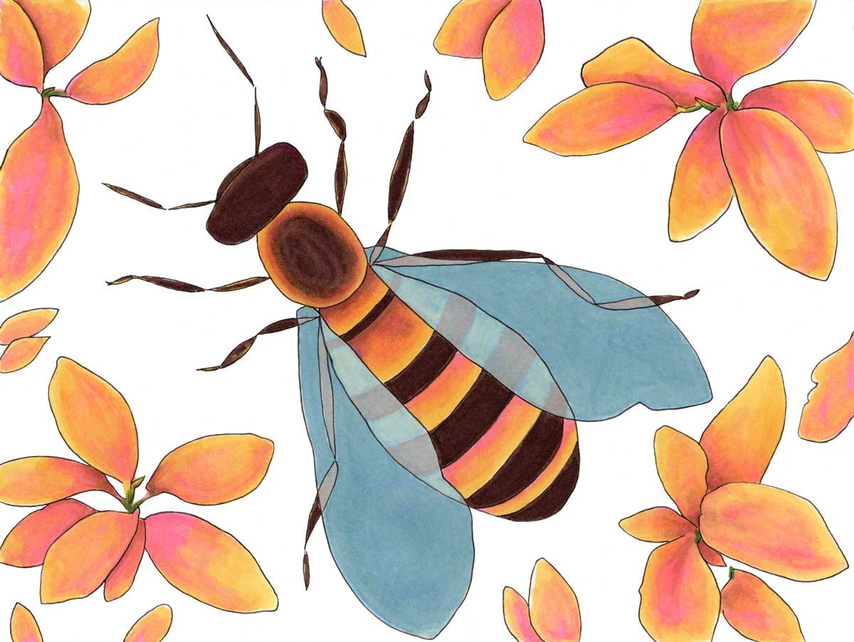 Hey, Honey - Open Edition Paper Print