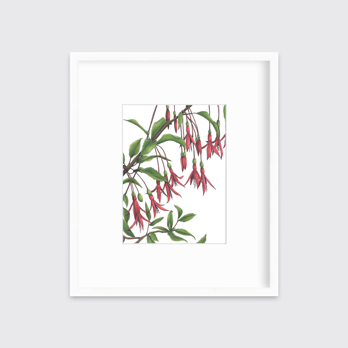Hummingbirds - Open Edition Paper Print