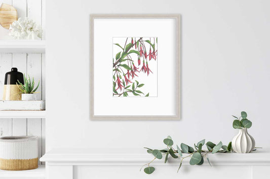 Hummingbirds - Open Edition Paper Print