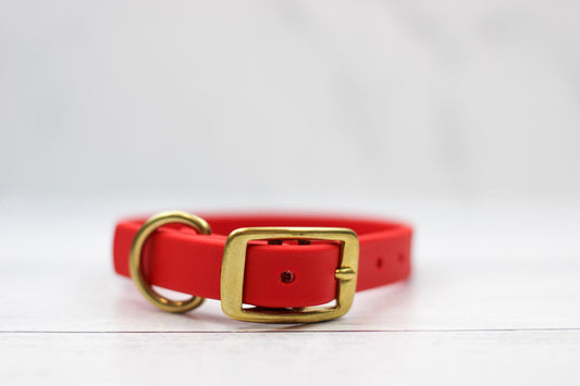 Cranberry Crush Biothane Collar