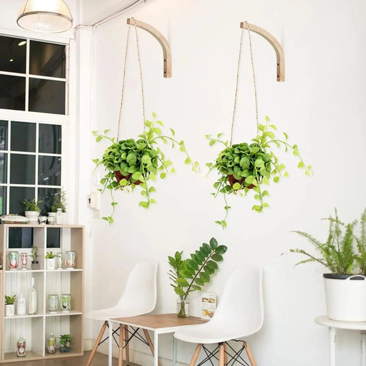 Wall Mounted Plant Hanging Hook
