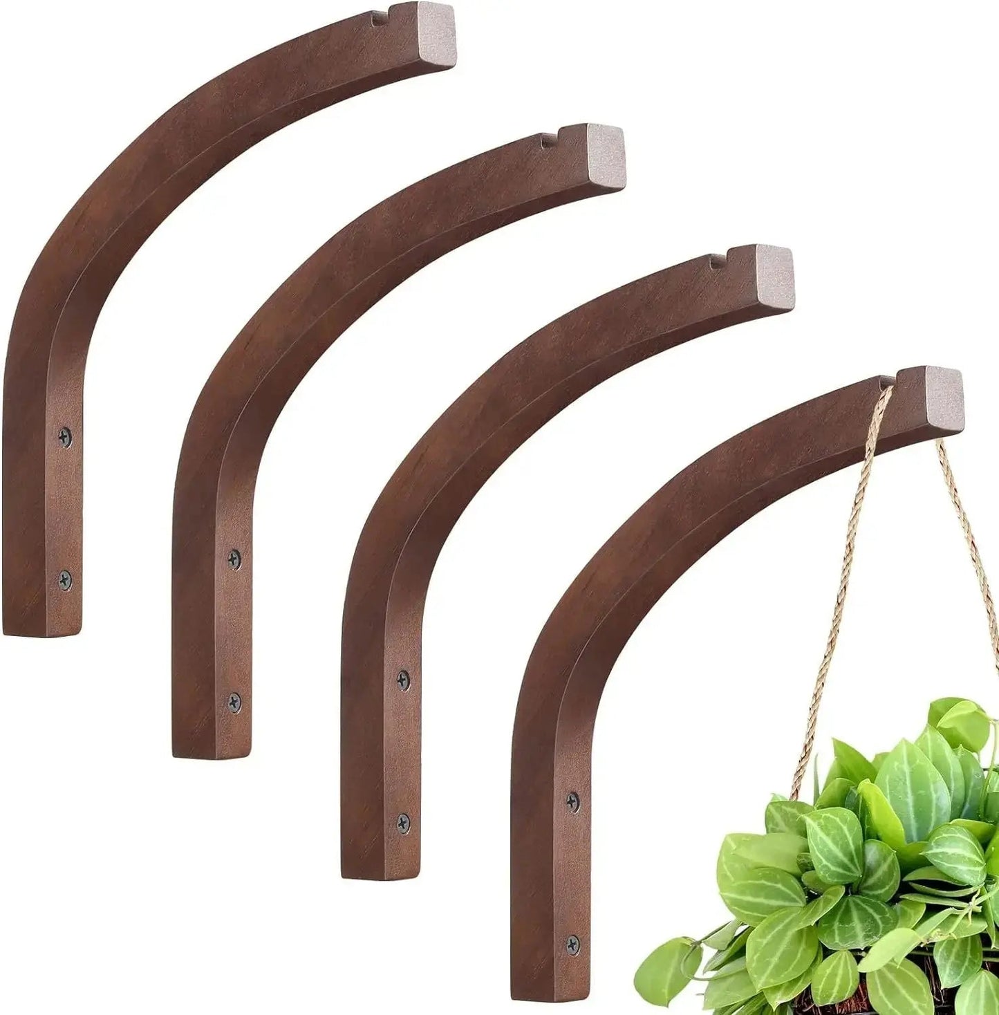 Wall Mounted Plant Hanging Hook