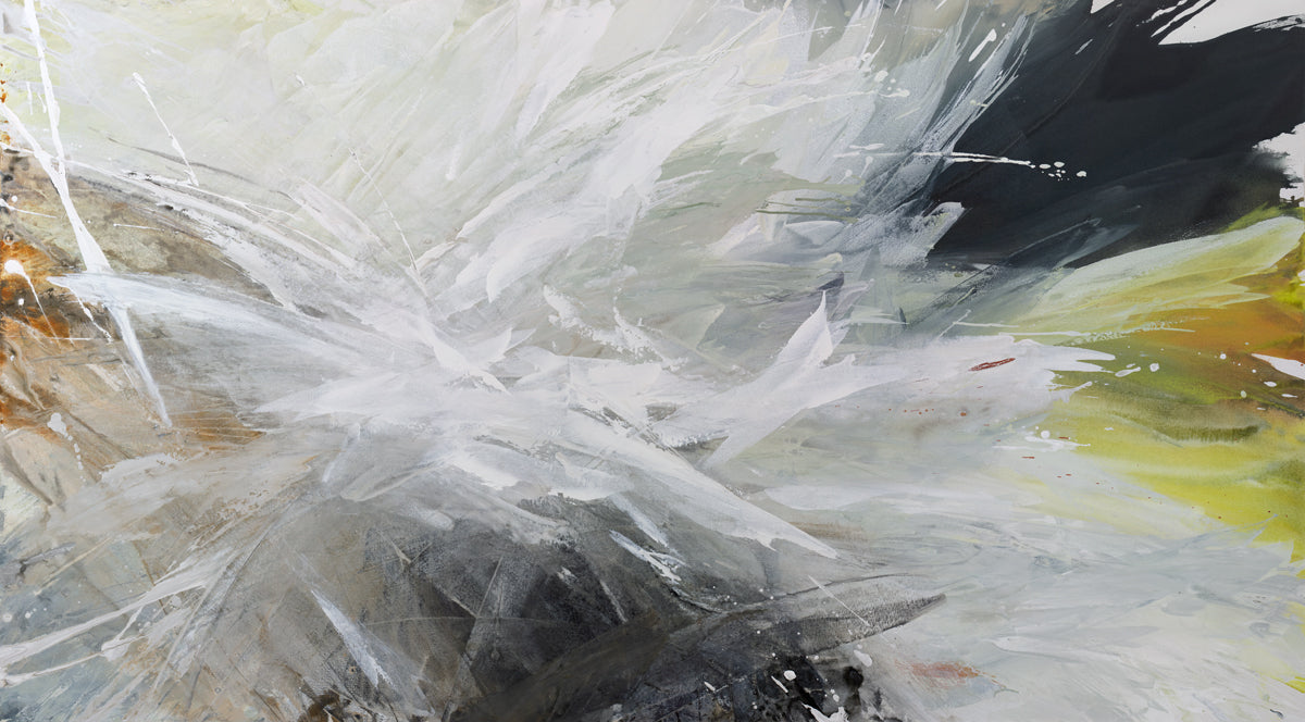 Landslide - Limited Edition Canvas Print