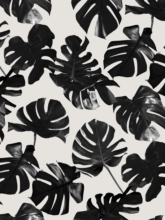 Monstera Leaf Wallpaper, black & off-white
