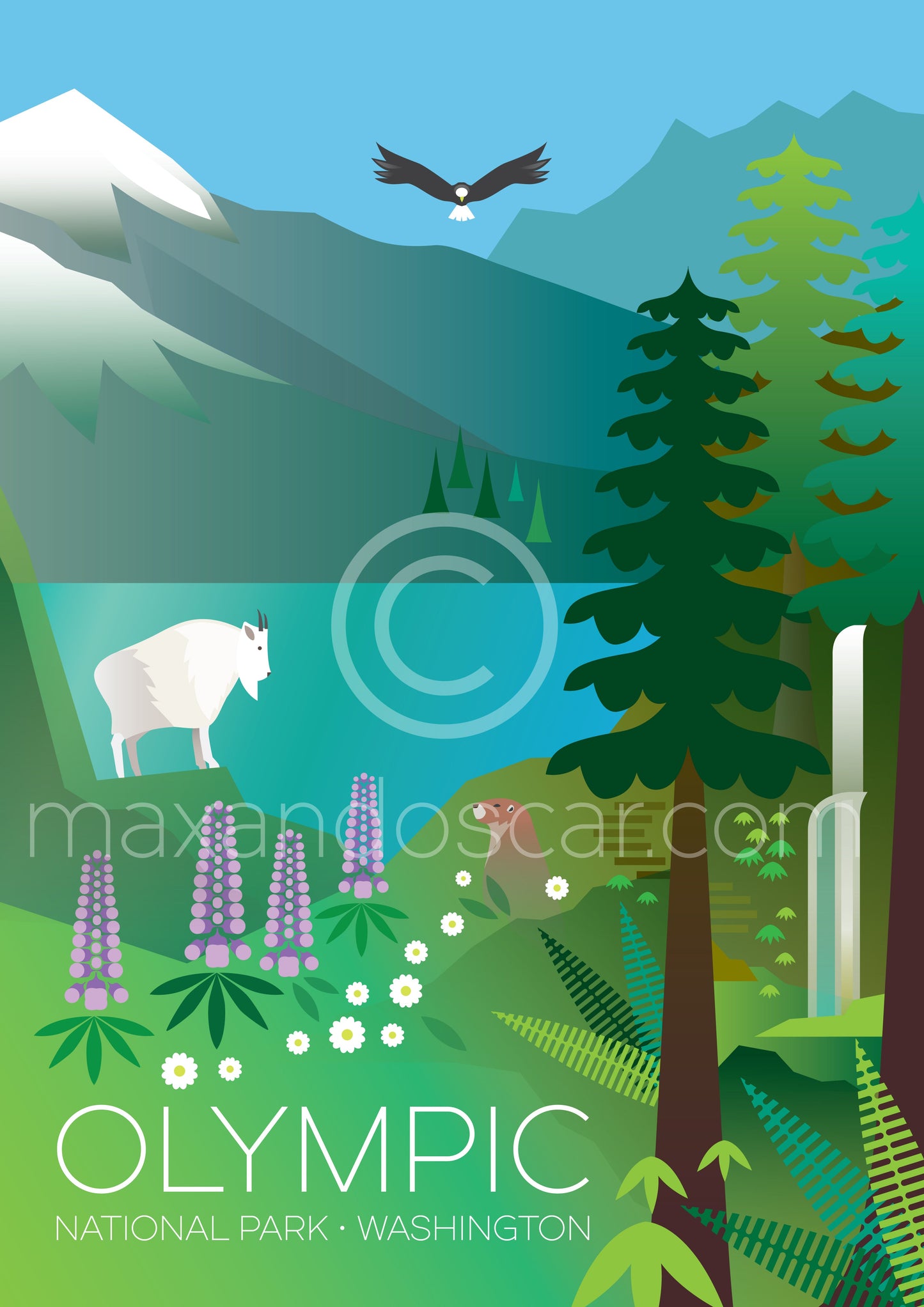 OLYMPIC NATIONAL PARK PRINT