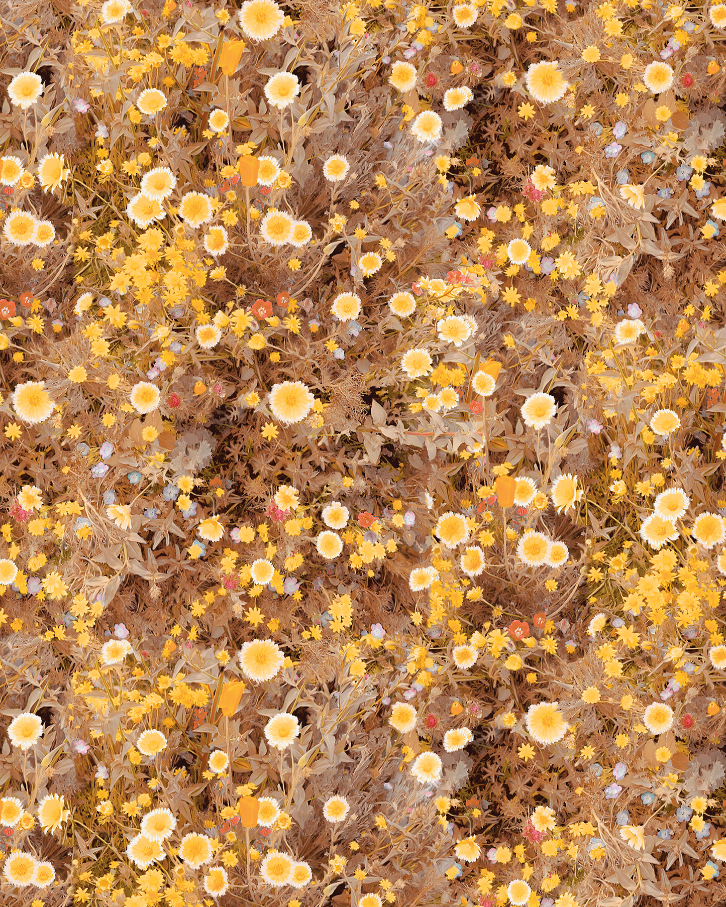 Cali Flowers Wallpaper, sunshine