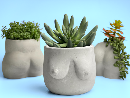 Boobs Planter | Woman Body Pot
