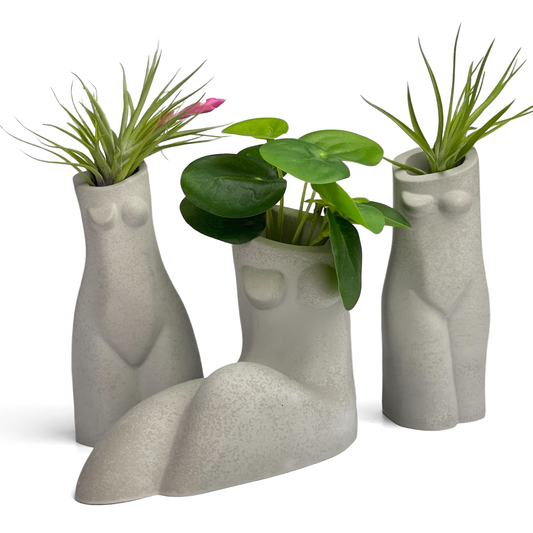 SET OF 3 AIR PLANT HOLDERS, Female Body Vase