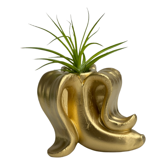 Banana Air Plant Holder