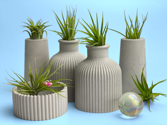 SKINNY MINI VASE | AIR PLANT HOLDER