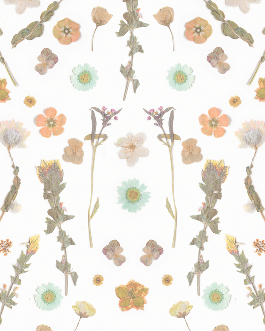 Pressed Fresh Version 02 Wallpaper, peach and mint