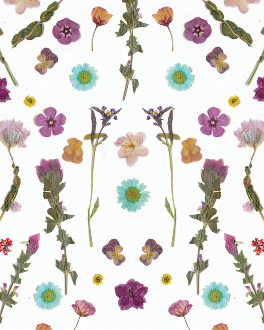 Pressed Fresh Version 02 Wallpaper, purple and blue