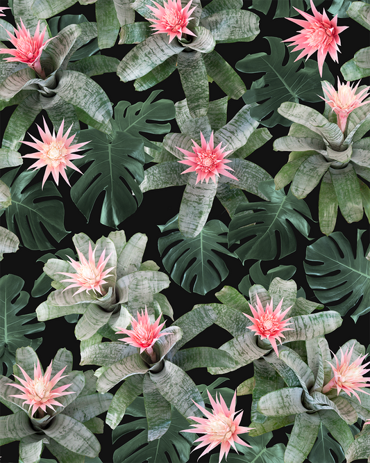 Rad Bromeliad Wallpaper, black