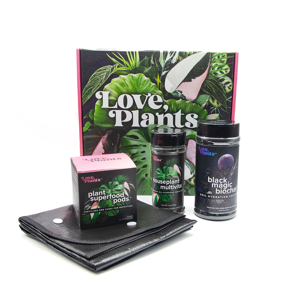 Houseplant Repotting Kit