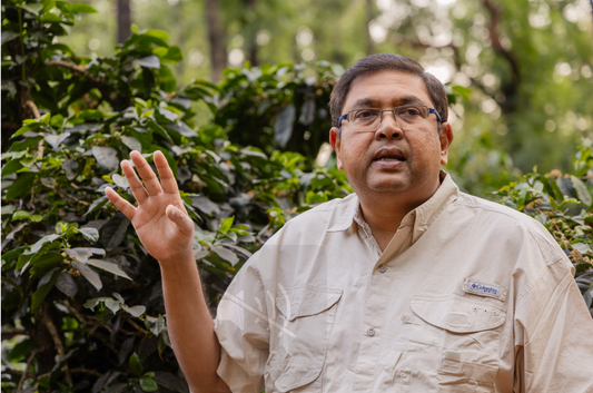 India - Karnataka: Ratnagiri Estate