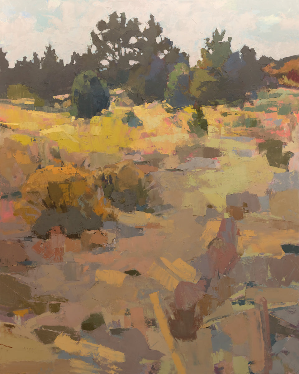 Short of Expectations - Limited Edition Canvas Print